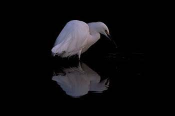 Img0012big