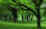 17generalscenics