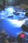19generalscenics